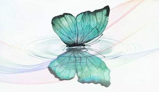 亚娱体育app官网下载