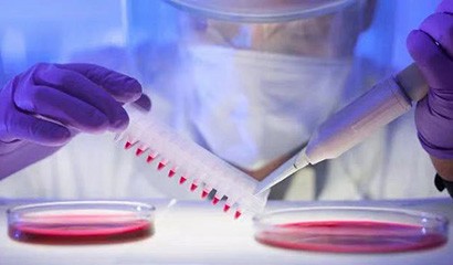 亚娱体育app官网下载