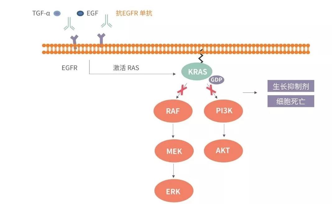 亚娱体育app官网下载