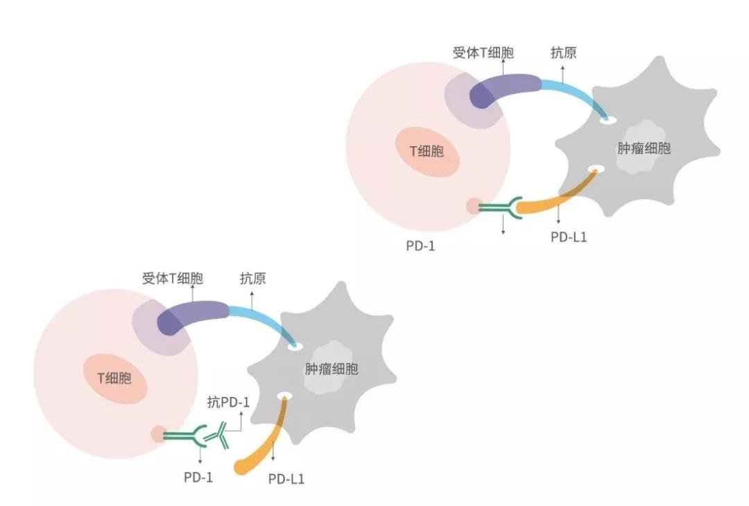 亚娱体育app官网下载