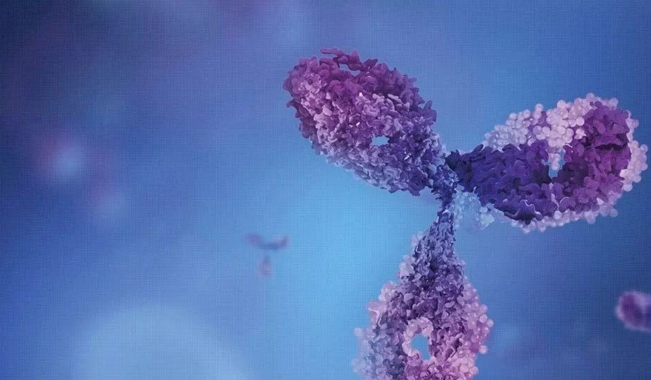 亚娱体育app官网下载