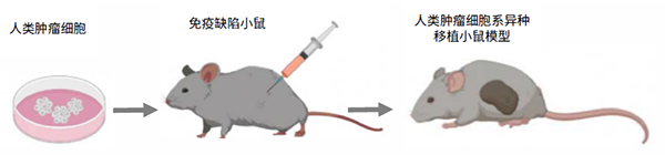 亚娱体育app官网下载