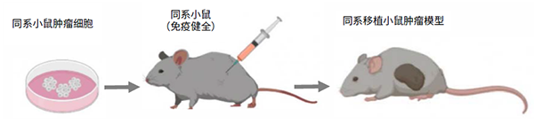亚娱体育app官网下载