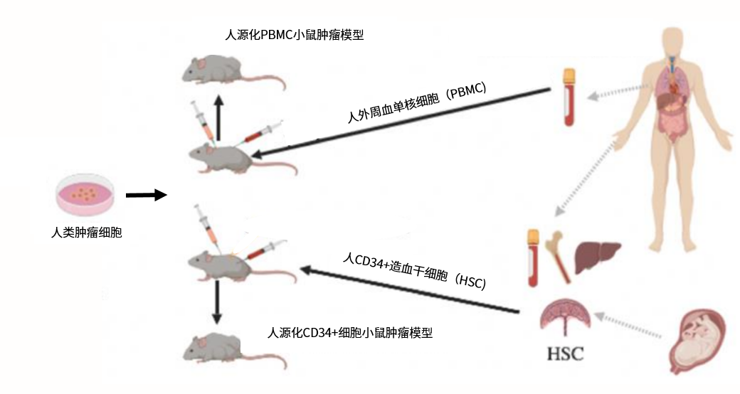 亚娱体育app官网下载