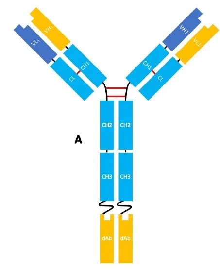 亚娱体育app官网下载