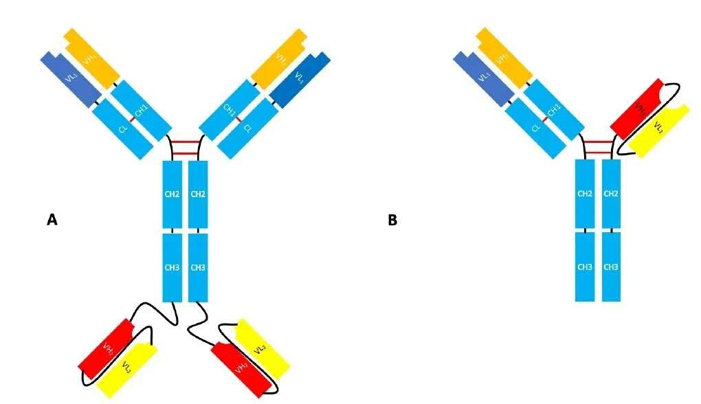 亚娱体育app官网下载