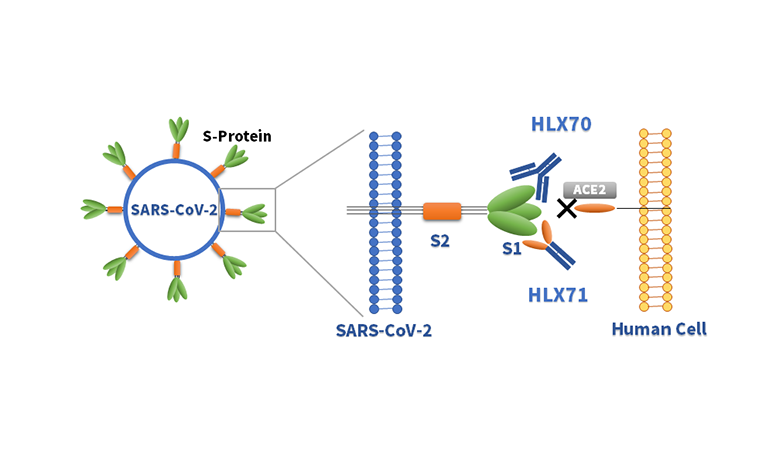亚娱体育app官网下载