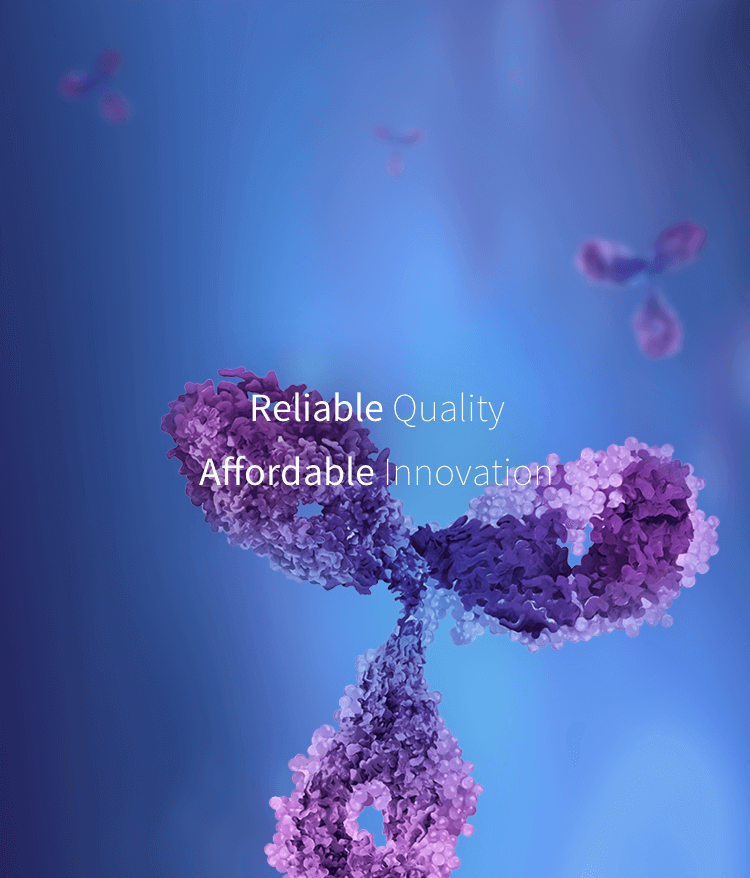 亚娱体育app官网下载