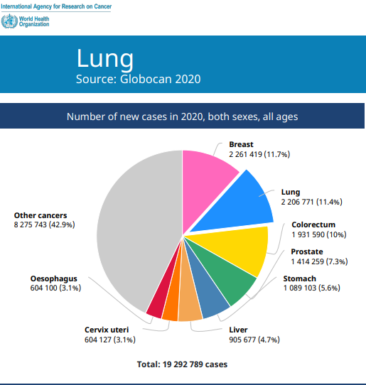 亚娱体育app官网下载