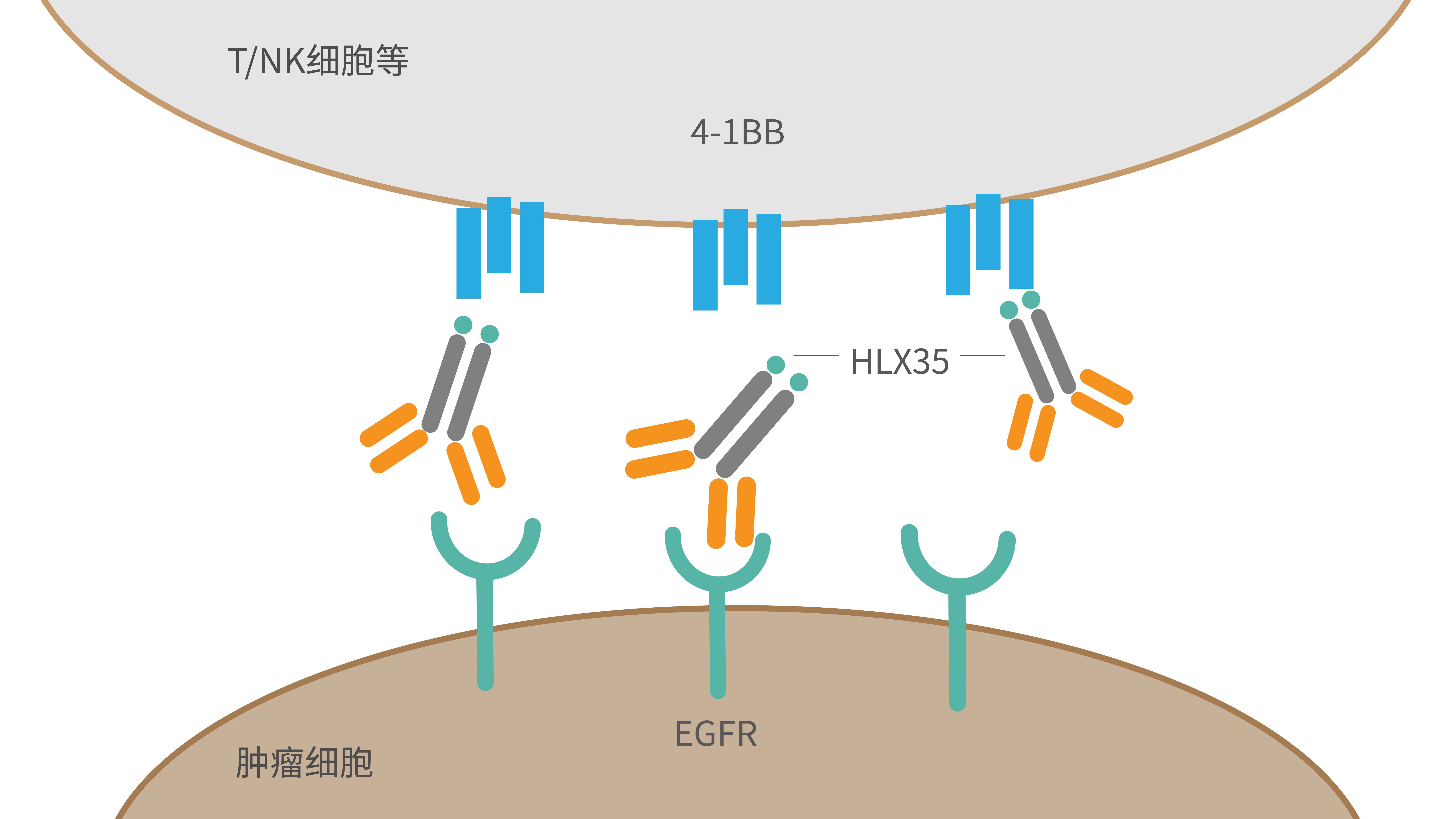 亚娱体育app官网下载