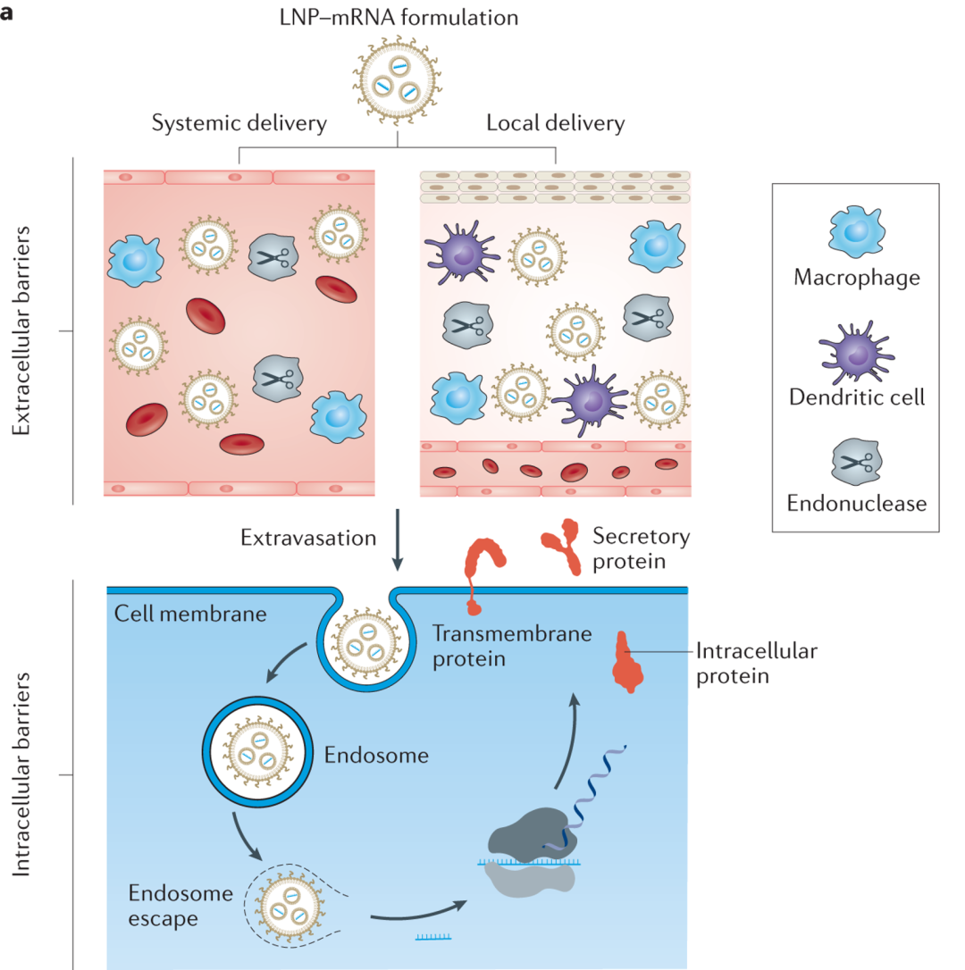 亚娱体育app官网下载