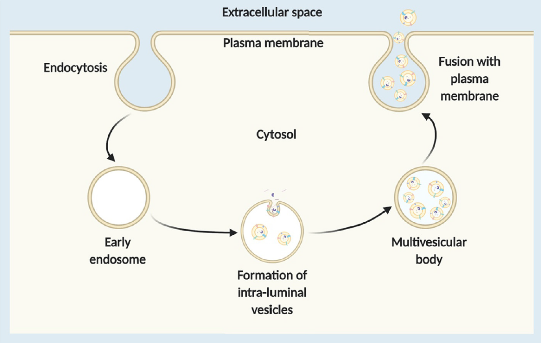 亚娱体育app官网下载