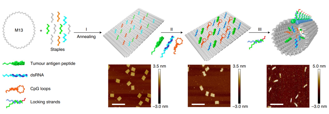 亚娱体育app官网下载
