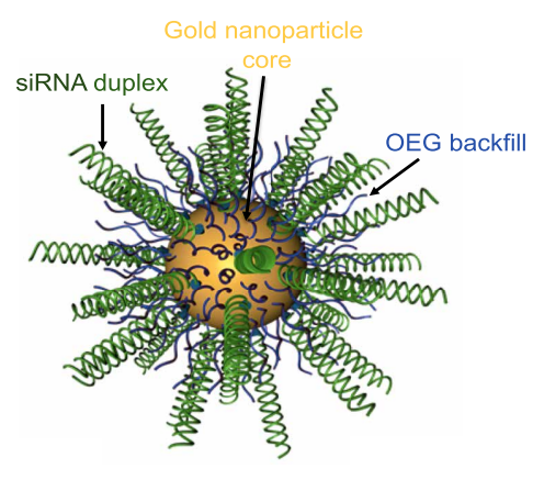 亚娱体育app官网下载