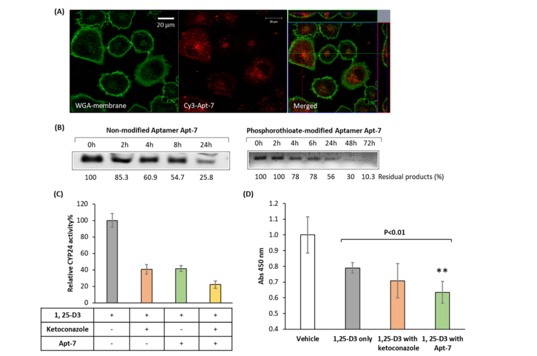 亚娱体育app官网下载