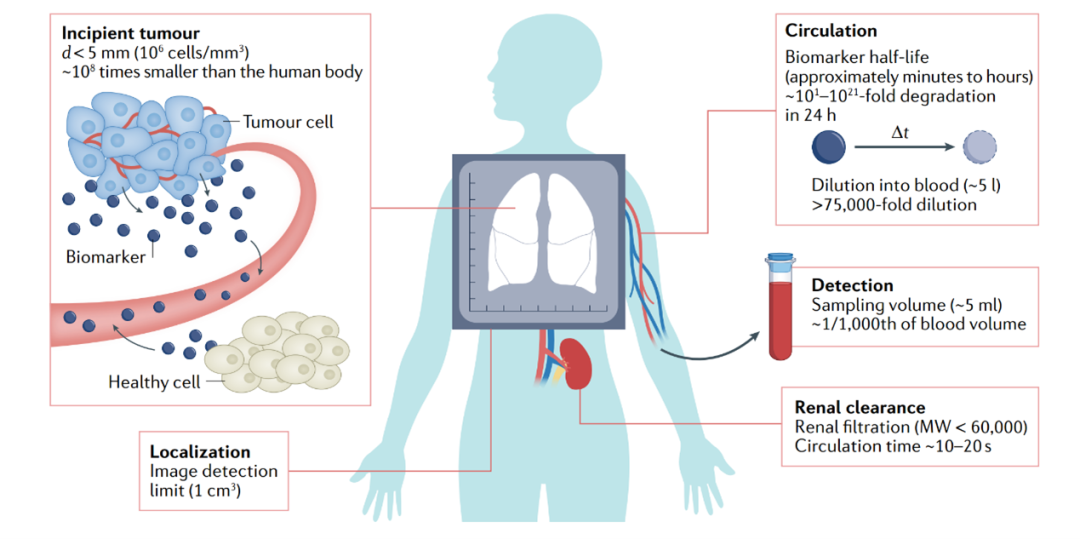 亚娱体育app官网下载