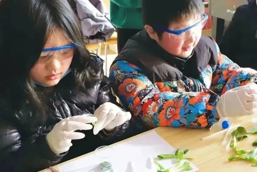 亚娱体育app官网下载