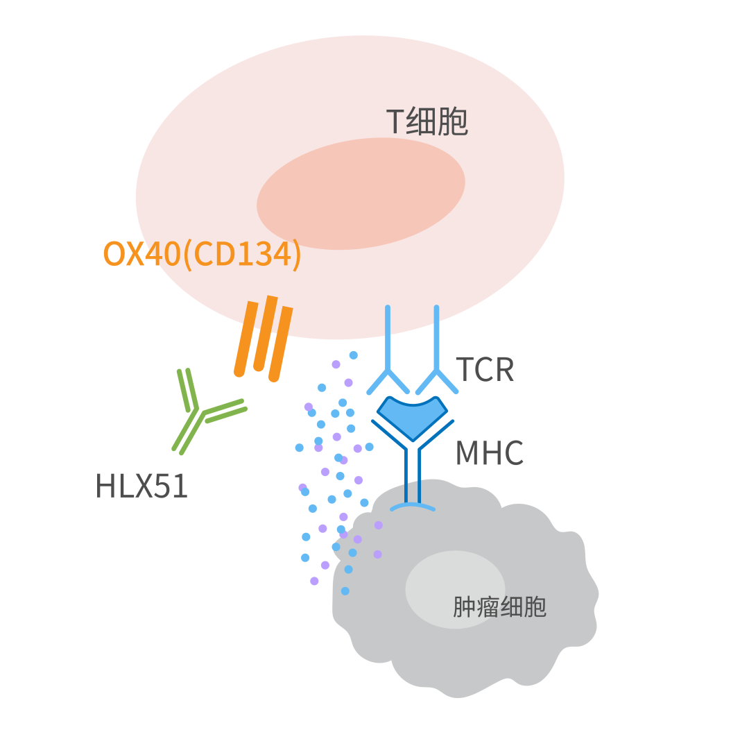 亚娱体育app官网下载