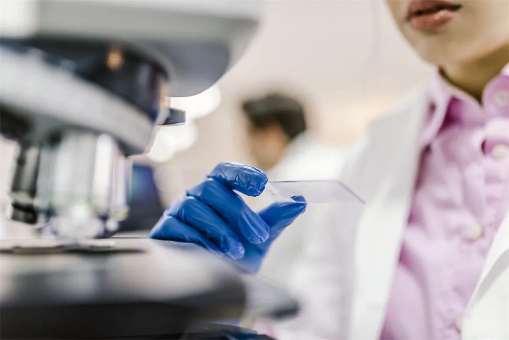 亚娱体育app官网下载