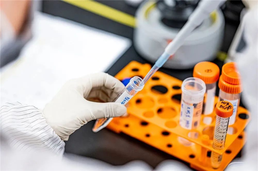 亚娱体育app官网下载