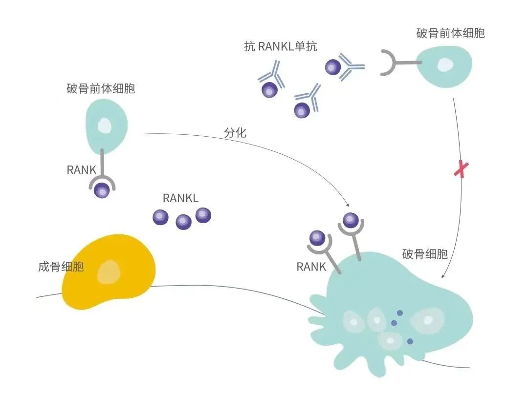 亚娱体育app官网下载