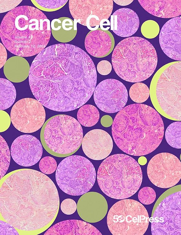 亚娱体育app官网下载