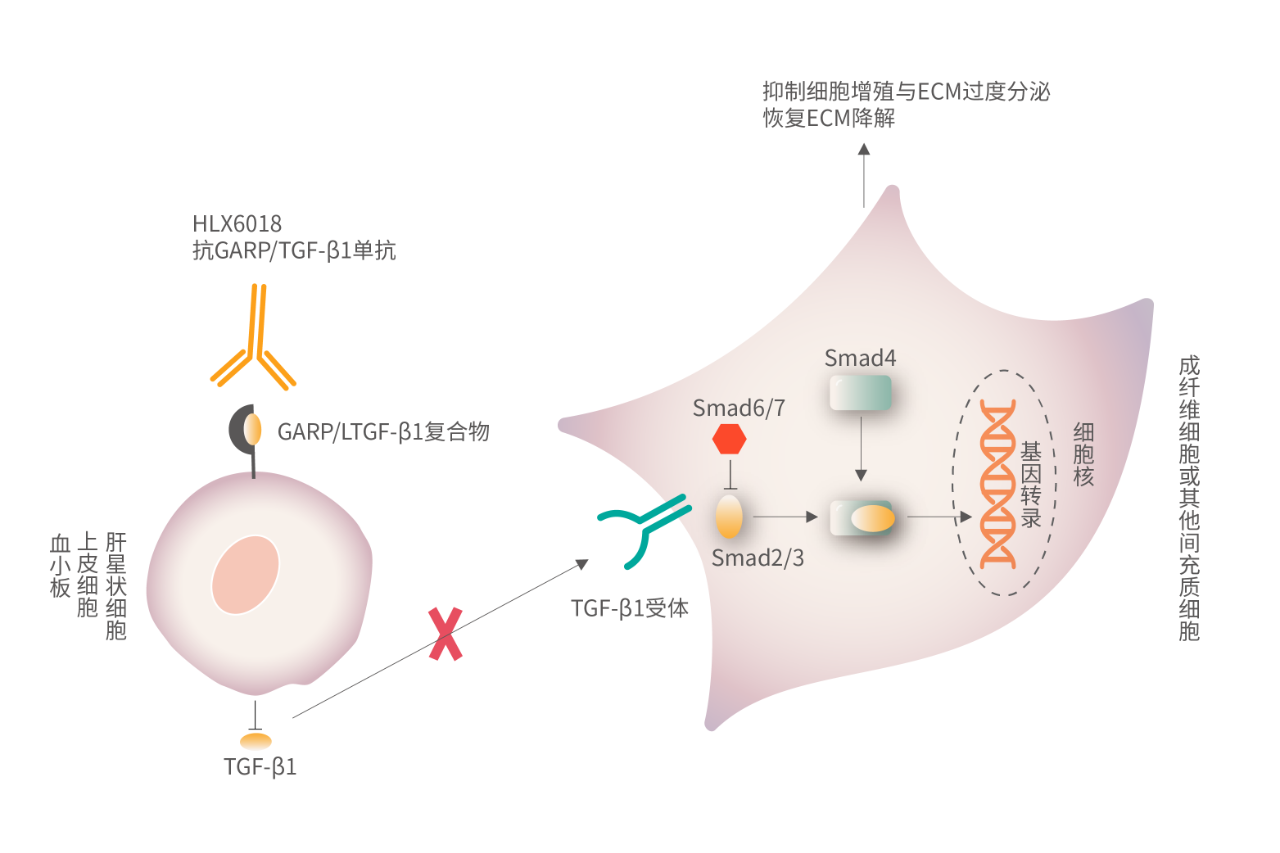 亚娱体育app官网下载