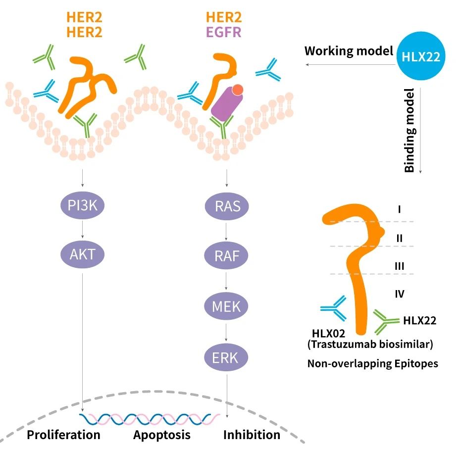 亚娱体育app官网下载