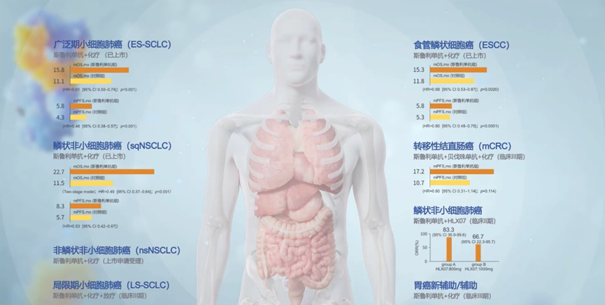 亚娱体育app官网下载