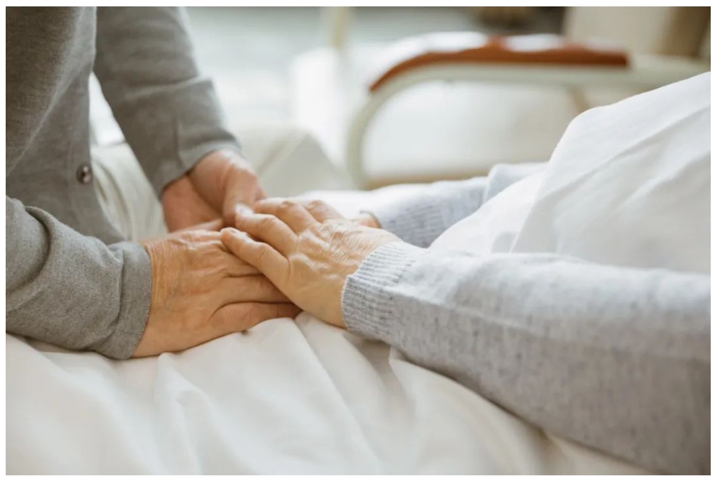 亚娱体育app官网下载