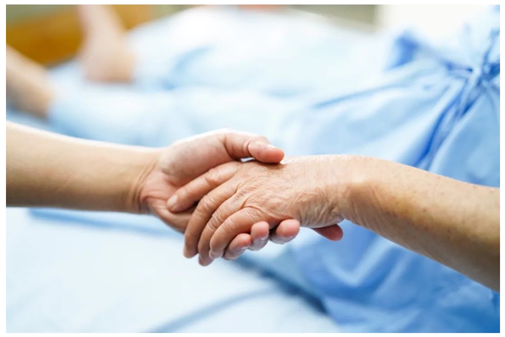 亚娱体育app官网下载