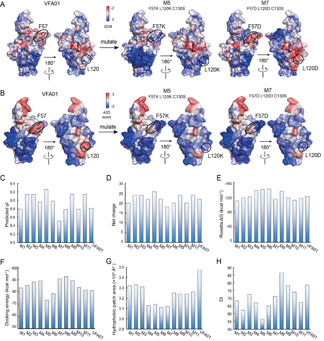 亚娱体育app官网下载
