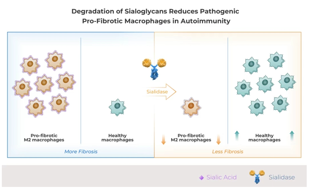 亚娱体育app官网下载