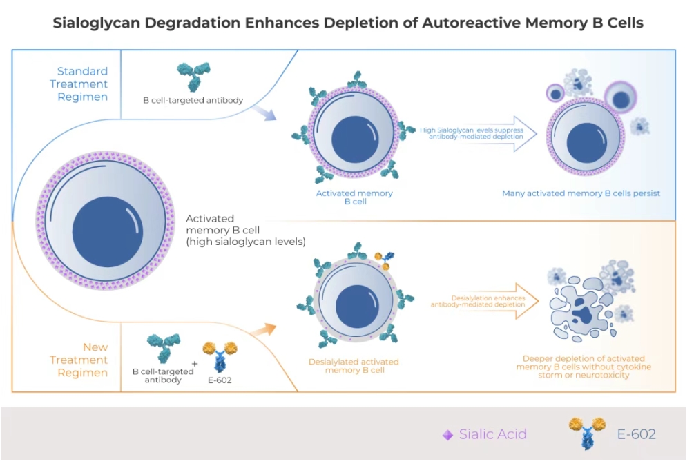 亚娱体育app官网下载
