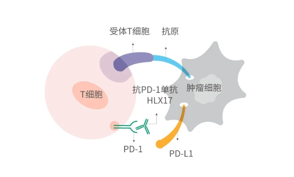 亚娱体育app官网下载