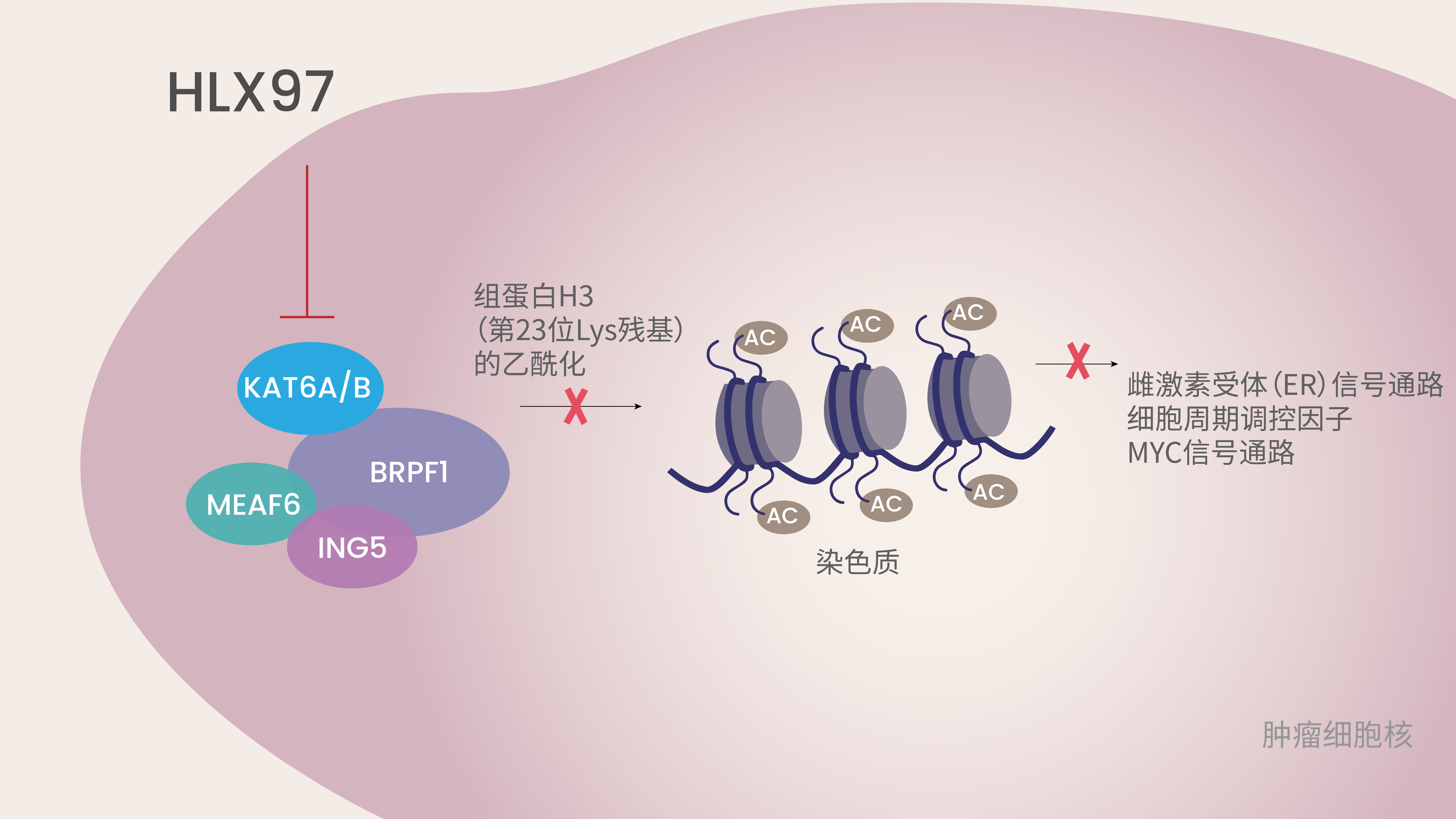 亚娱体育app官网下载
