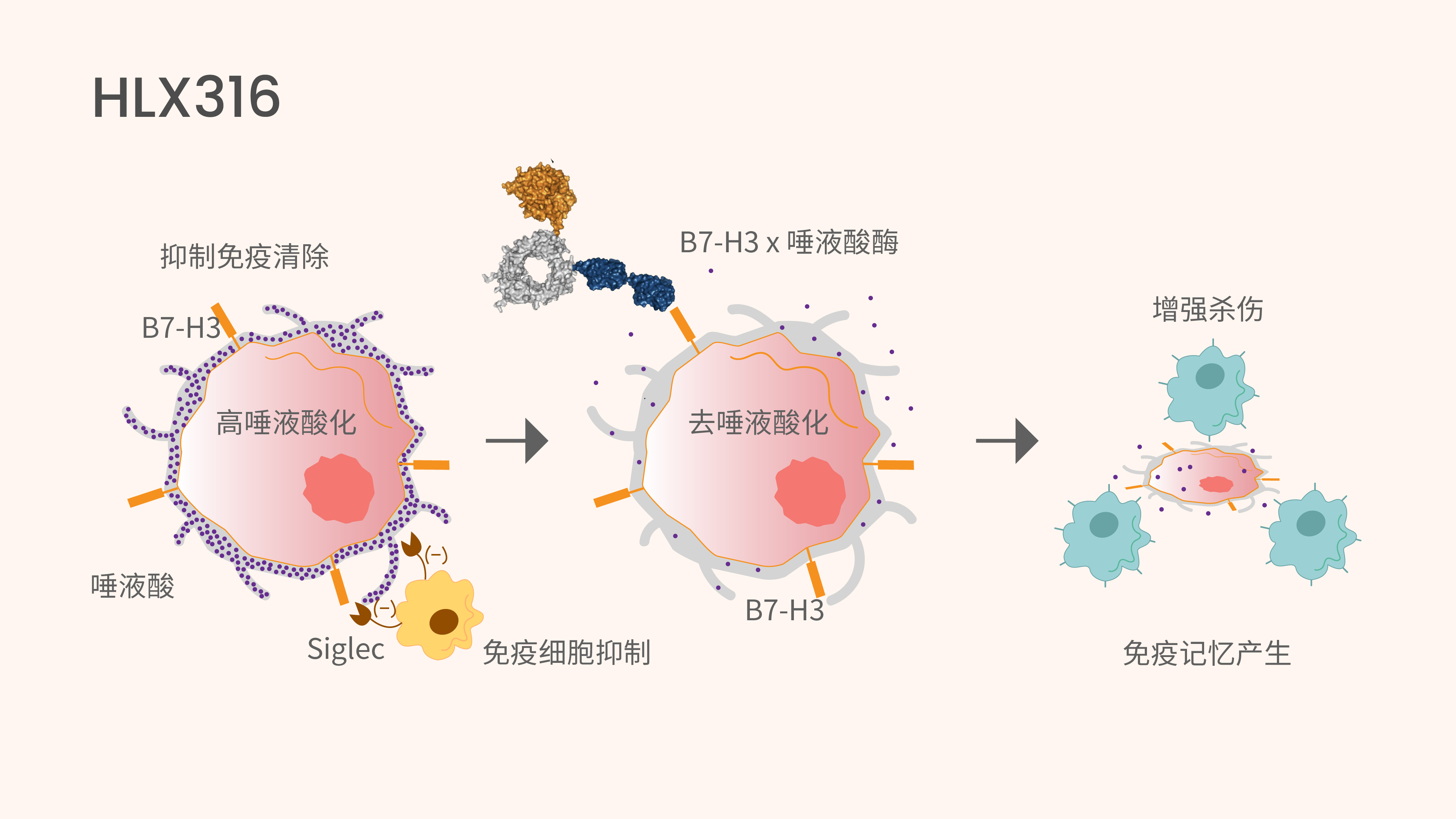 亚娱体育app官网下载