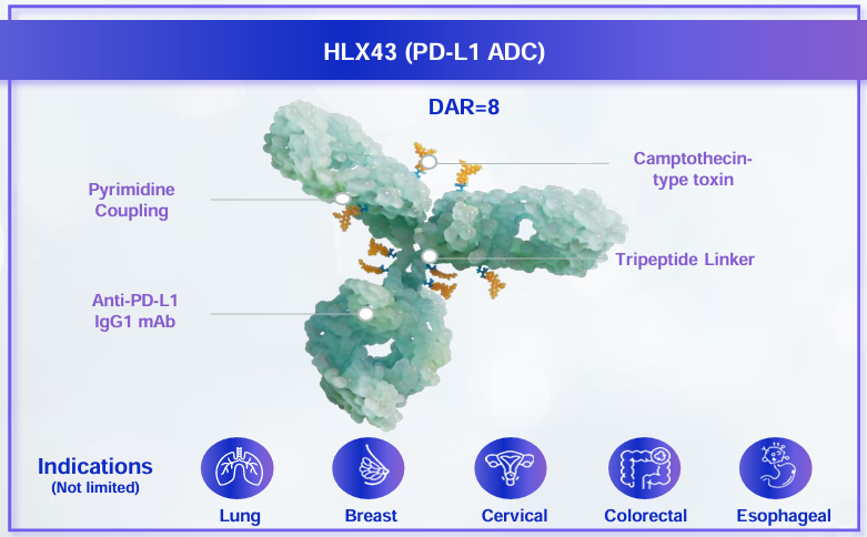 亚娱体育app官网下载